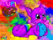 Jupi Reference Sheet
