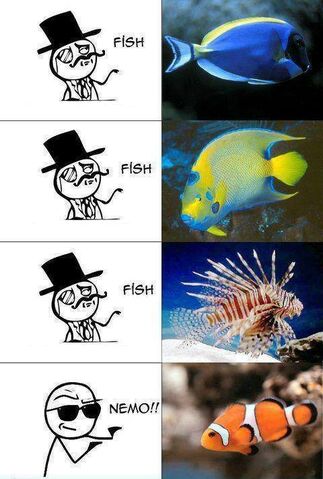 File:Nemo.jpg