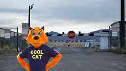 Cool Cat Wiki Fandom