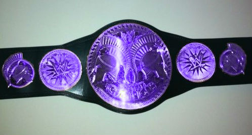 wwe divas tag team championship