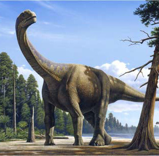 camarasaurus