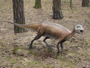 Atlascopcosaurus-Bardrock-300x225