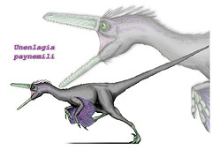 2368811922 0528588420 m