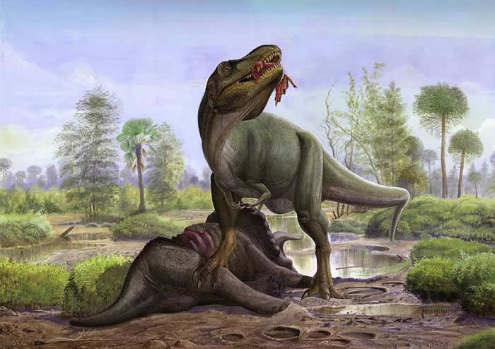tyrannosaurus rex cool dino facts wiki fandom powered by wikia