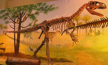 Wyomingraptor