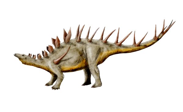 names of dinosaurs with spikes on their back