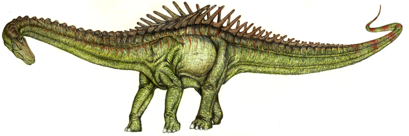 dinosaur with little spikes on back