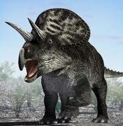 Zuniceratops is better!