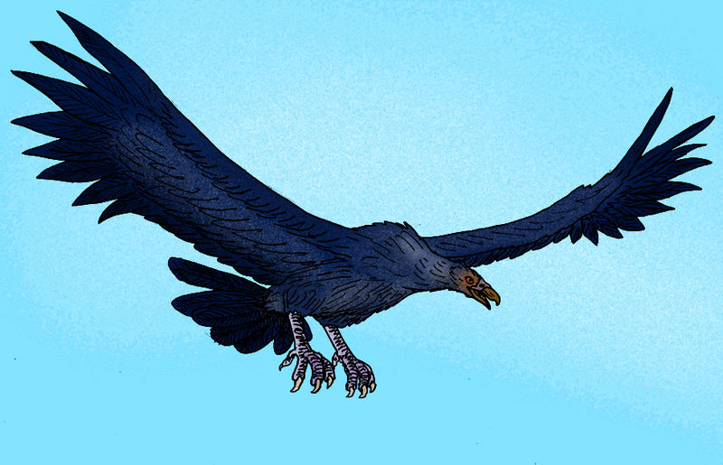 Category:Neogene Animals | Cool Dino Facts Wiki | FANDOM powered by Wikia