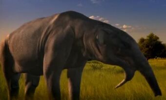 Deinotherium | Cool Dino Facts Wiki | FANDOM powered by Wikia