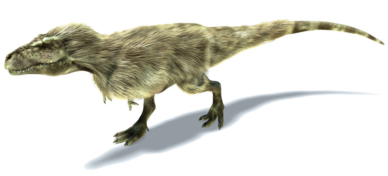 Tyrannosaurus Rex | Cool Dino Facts Wiki | FANDOM powered by Wikia