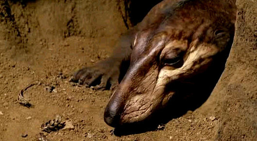 walking with dinosaurs triassic