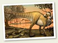 Protohadros