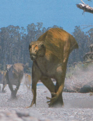 Muttaburrasaurus on the move