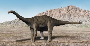 300px-Spinophorosaurus NT