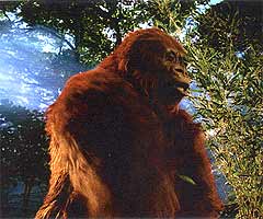Gigantopithecus