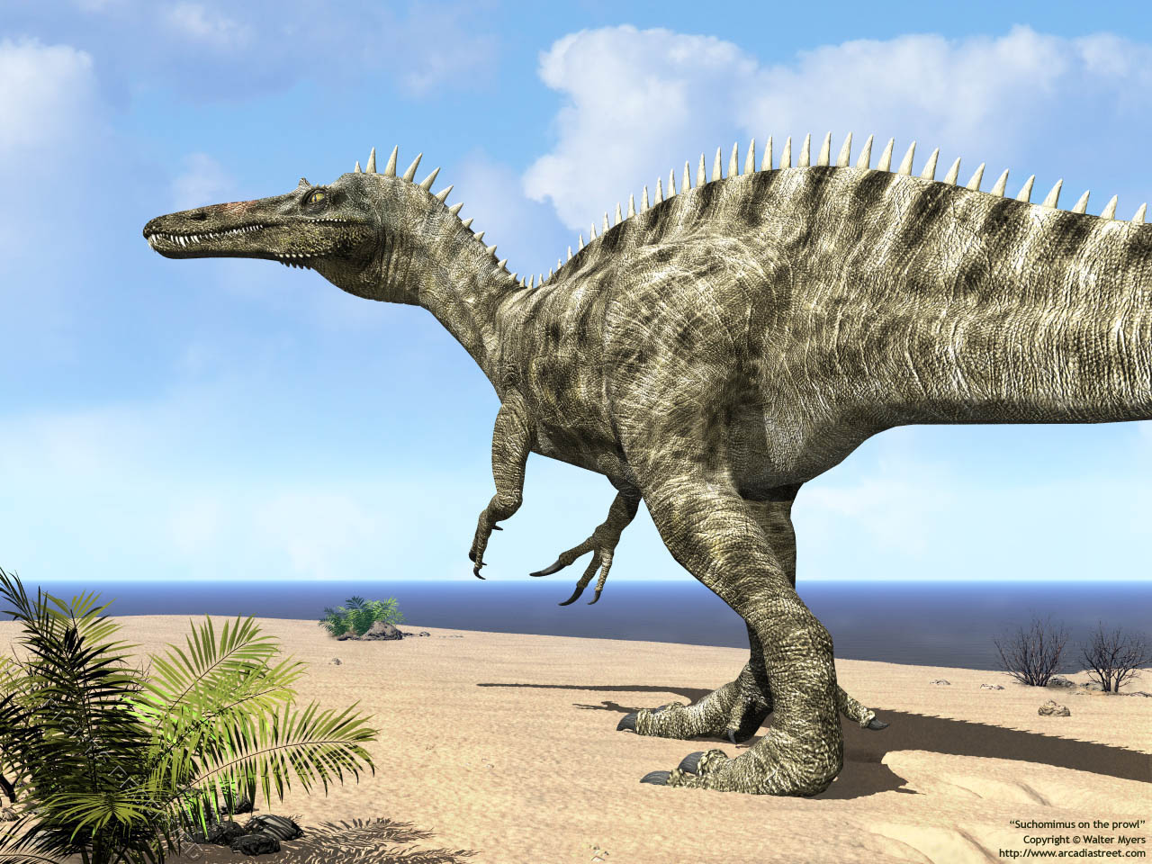 Suchomimus Cool Dino Facts Wiki Fandom Powered By Wikia 