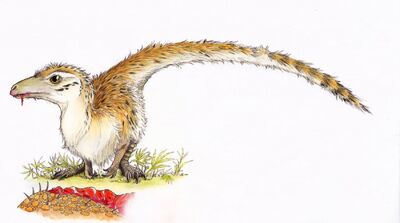 Sciurumimus-Maija-Karala-600x335