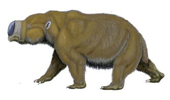 Diprotodon1