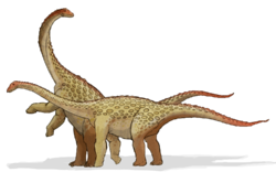 250px-Saltasaurus dinosaur