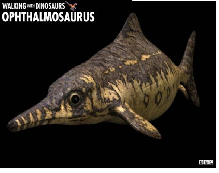 Image Ophthalmosaurus.png Cool Dino Facts Wiki FANDOM powered by