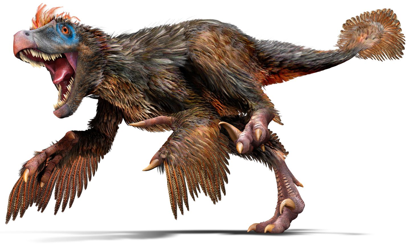 cool dino