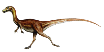 Procompsognathus1
