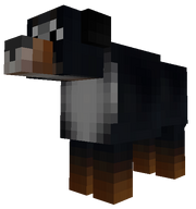 Copious Bernese Mountain