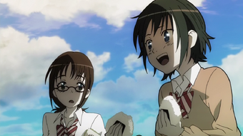 Wallpaper Aoi Fukasaku Coppelion Wiki Fandom For Android Free