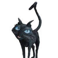 The Cat Coraline Wiki Fandom