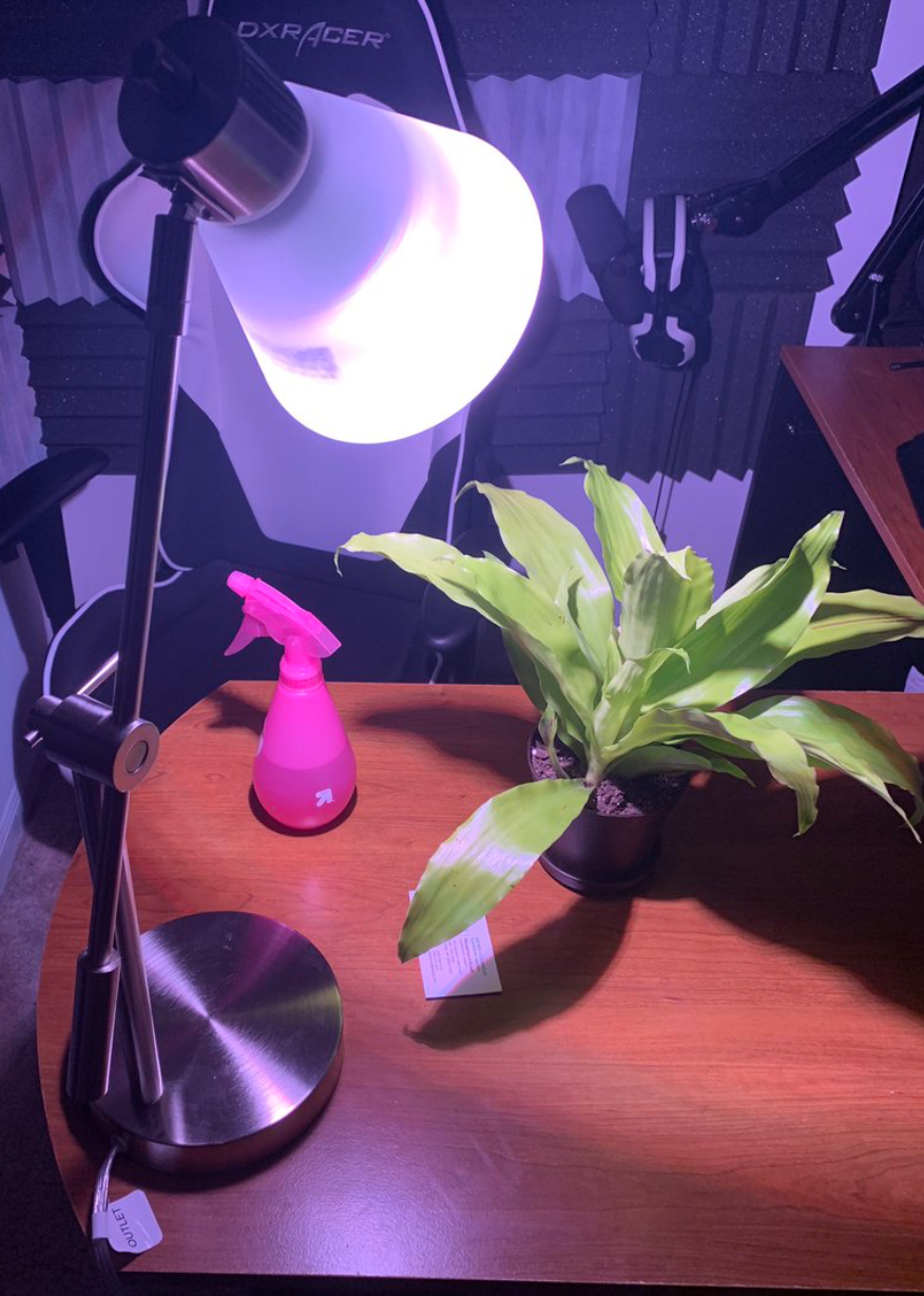 Momo the plant | CoryxKenshin Wiki | Fandom