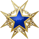 Csgo-service medal 2015