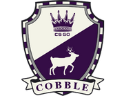 Set cobblestone-1-
