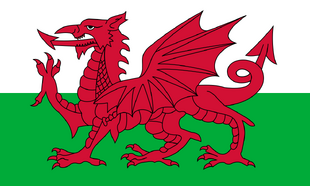 18+ Wales Flag Wiki Gif