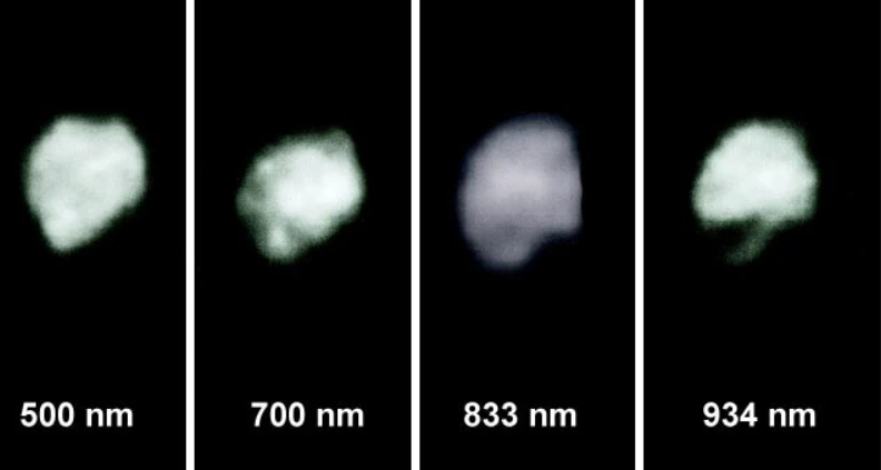 3 Juno (주노) COUO 위키 Fandom