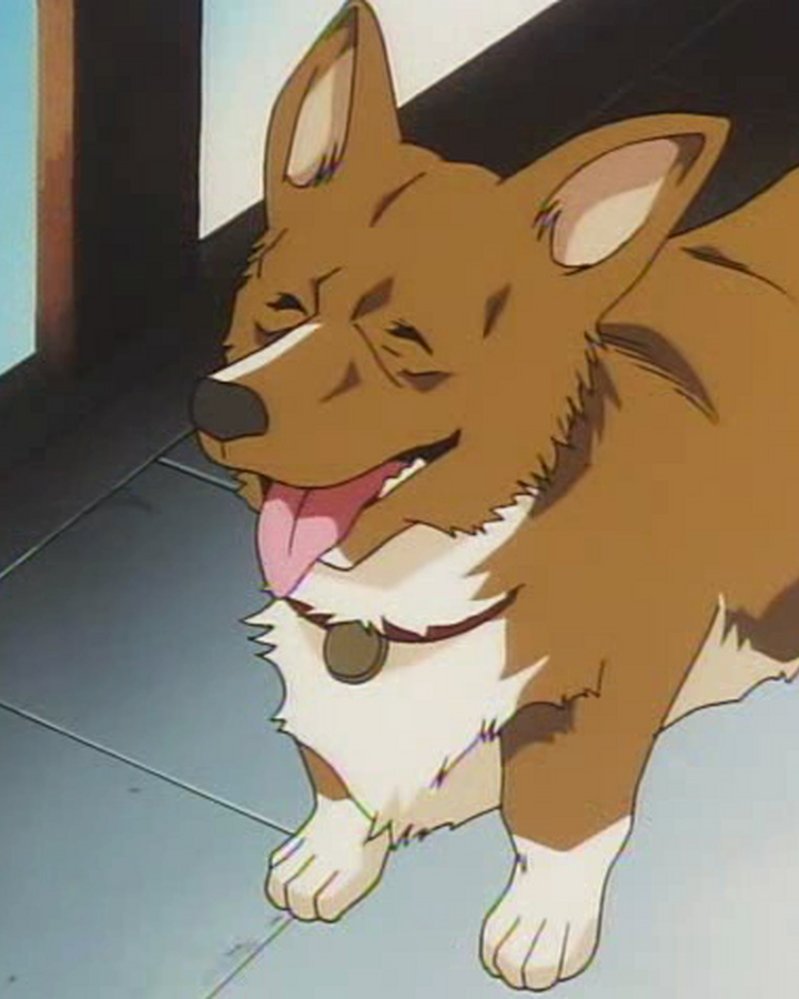 Ein Cowboy Bebop Wiki Fandom