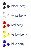 Berries