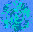 Whirl