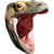 Skin oskomodo