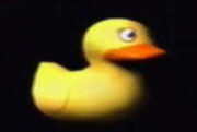 Quacker