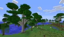 Baldcypress