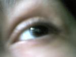 Photo-26013