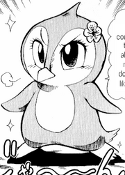 Cocosos