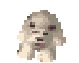 Polarbear