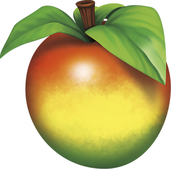 Wumpa Fruit Bandipedia Fandom