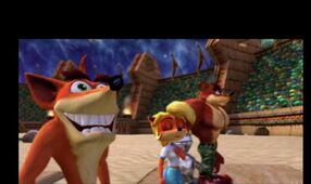 Team Bandicoot