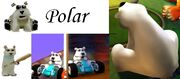 PolarPoster