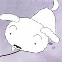 Wallpaper Shiro Crayon Shin Chan Wiki Fandom For Android Free
