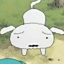 Get Wallpaper Shiro Crayon Shin Chan Wiki Fandom For Free