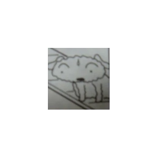 Shiro | Crayon Shin-chan Wiki | Fandom A manga series drawn by usui yoshito.